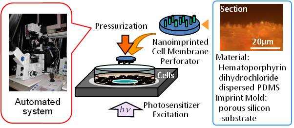 Cell Processing Robot